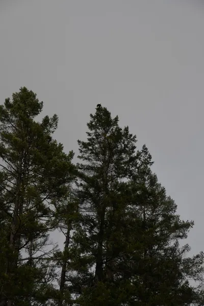 DSC_0191 (Large).JPG